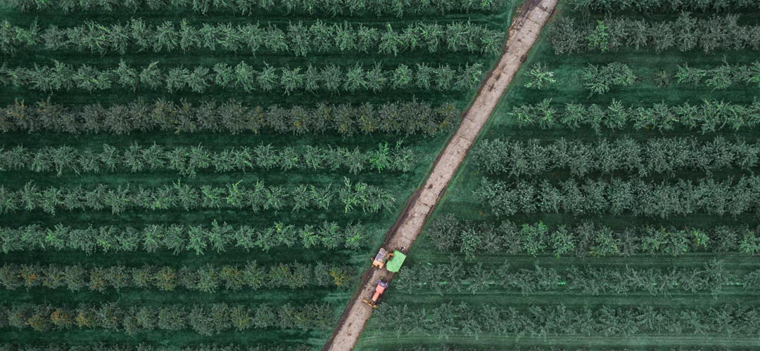 hemp-contact-wrapbg1